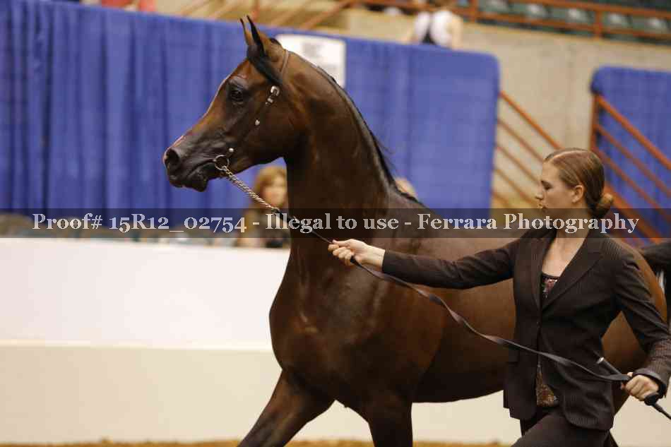 Proof Number 15R12_02754
