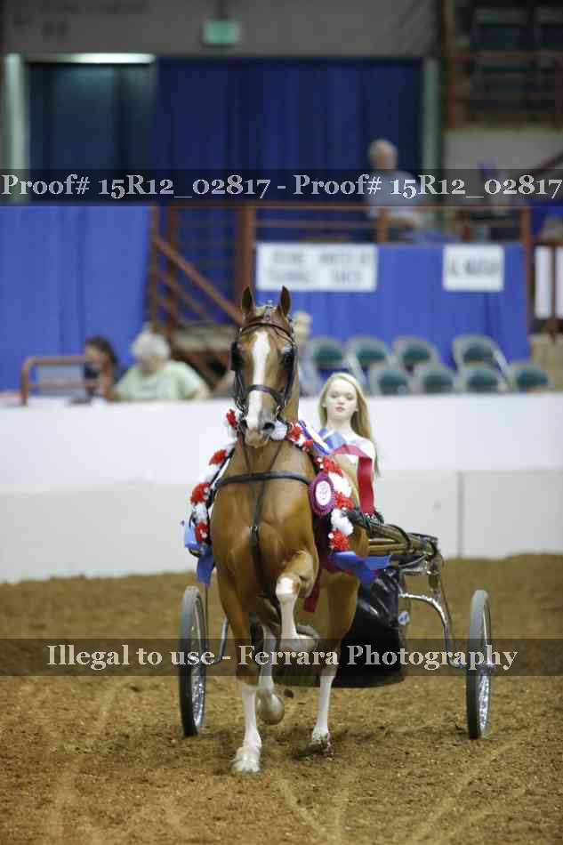 Proof Number 15R12_02817