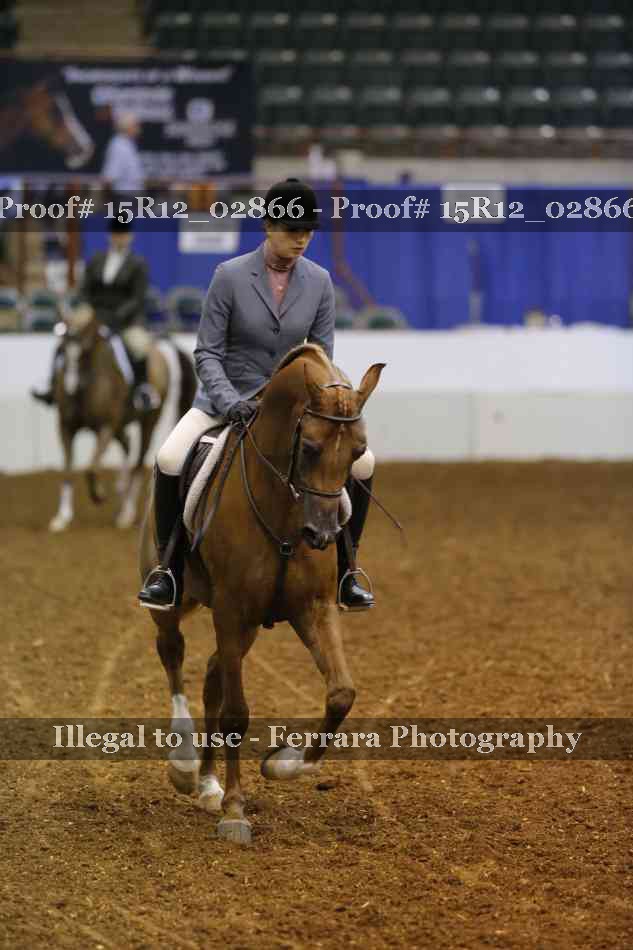 Proof Number 15R12_02866