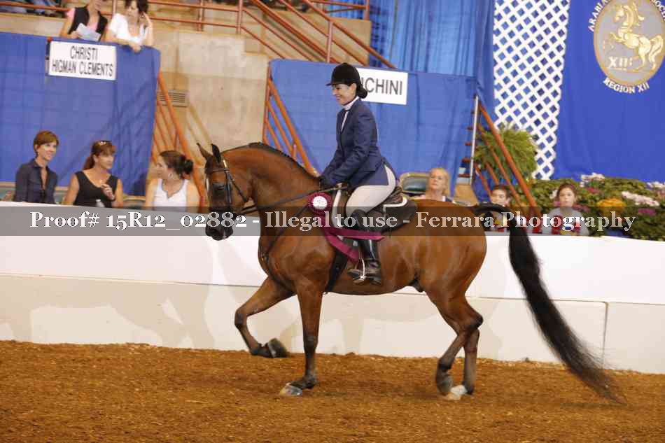Proof Number 15R12_02882