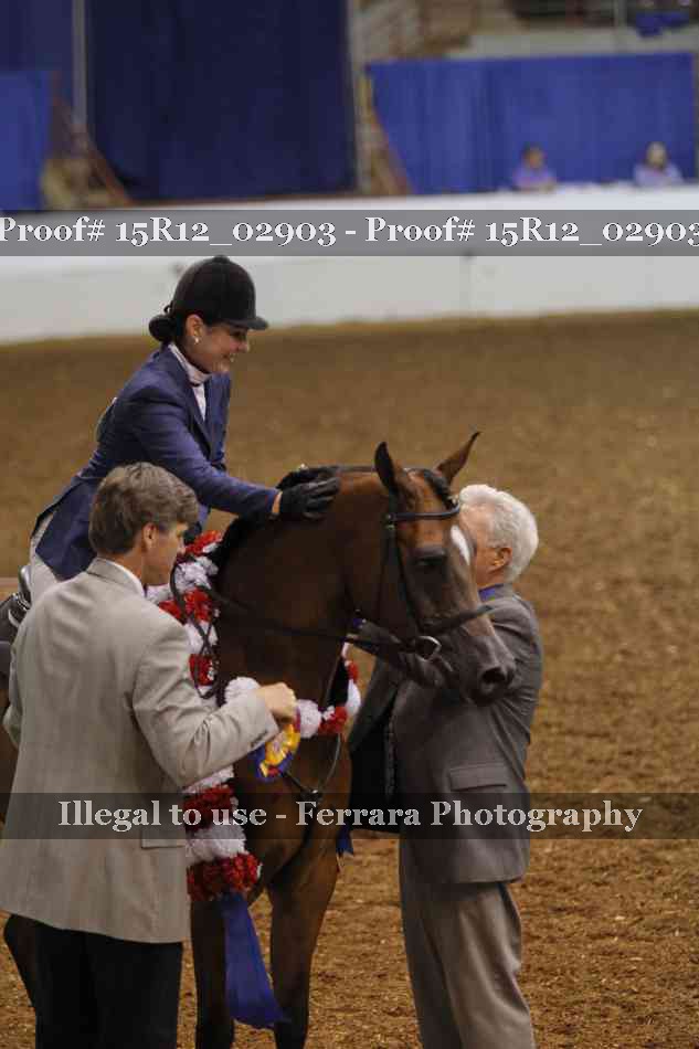 Proof Number 15R12_02903