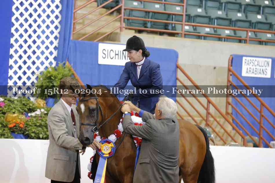 Proof Number 15R12_02904