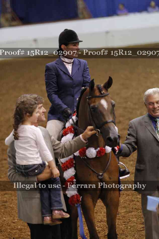 Proof Number 15R12_02907