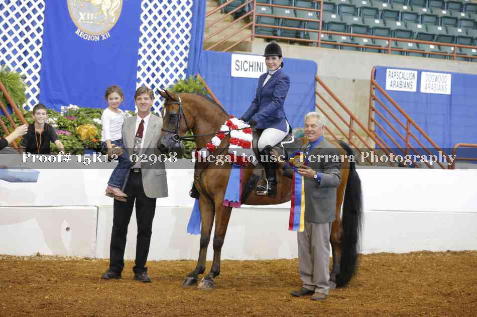 Proof Number 15R12_02908