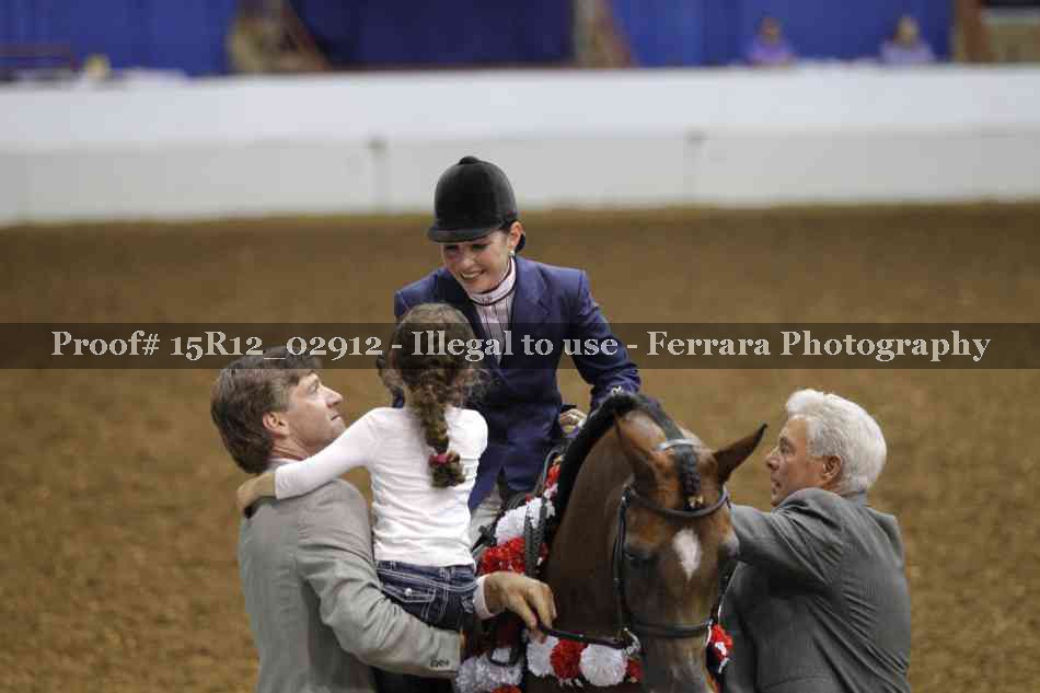 Proof Number 15R12_02912