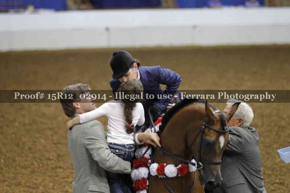 Proof Number 15R12_02914