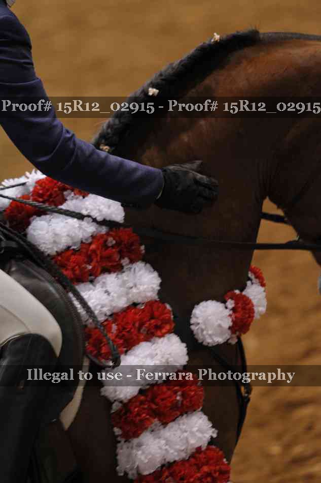 Proof Number 15R12_02915