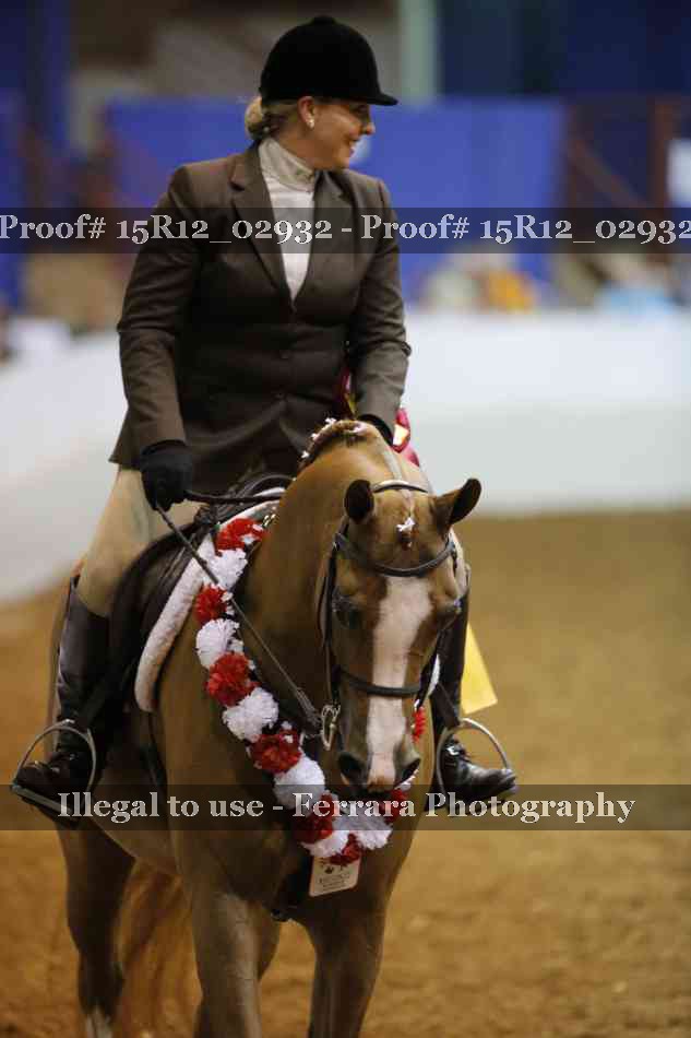 Proof Number 15R12_02932