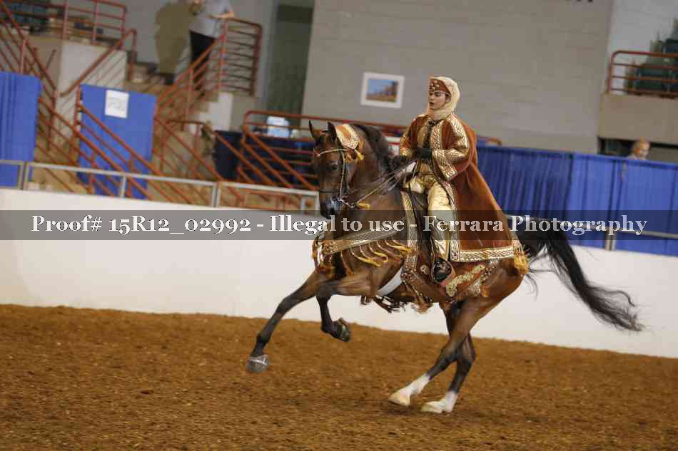 Proof Number 15R12_02992