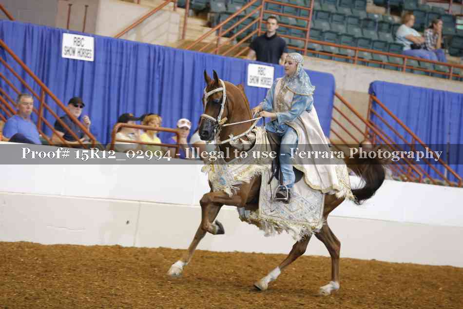 Proof Number 15R12_02994