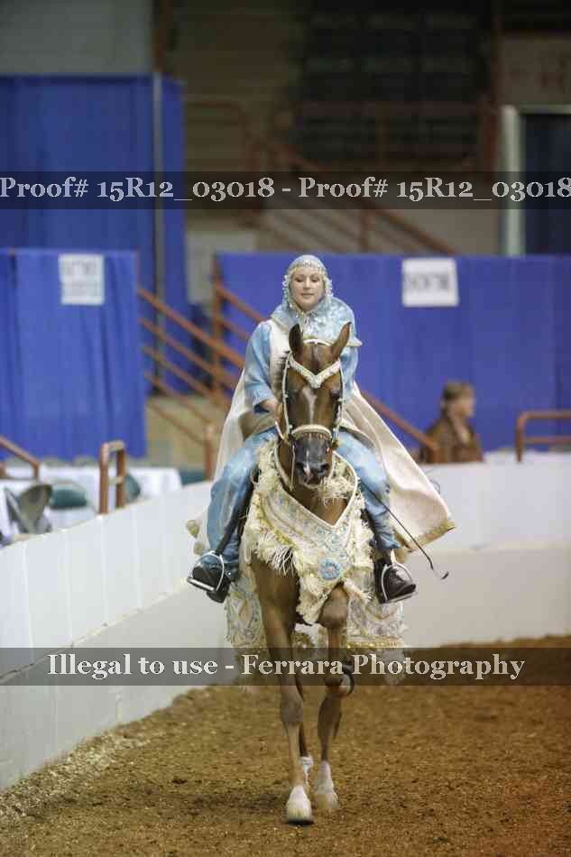 Proof Number 15R12_03018