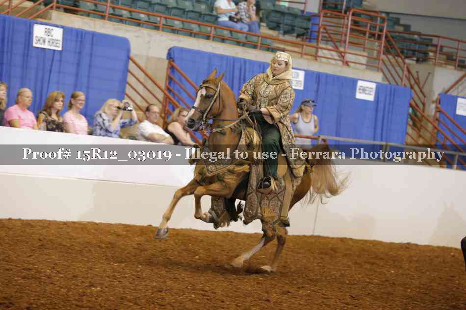 Proof Number 15R12_03019