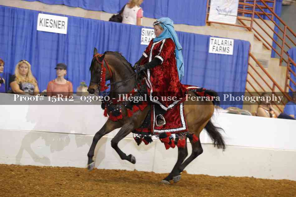 Proof Number 15R12_03020