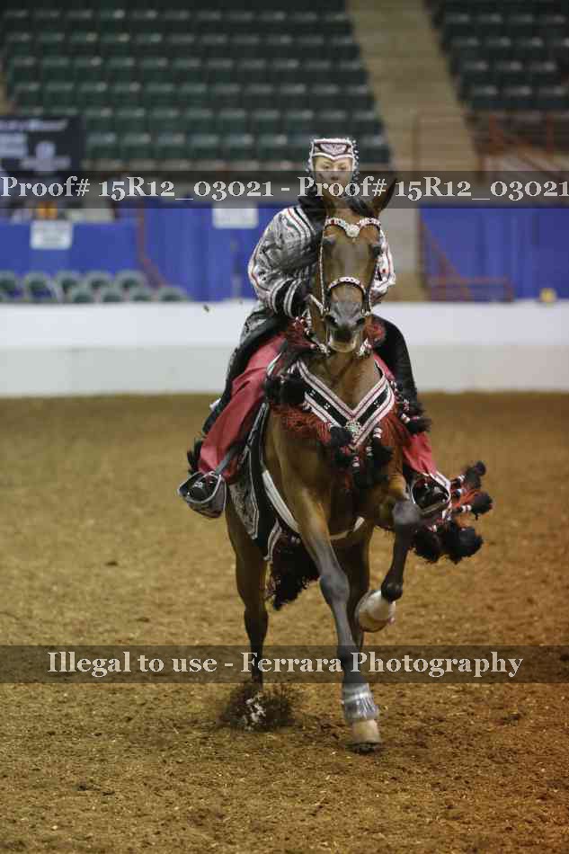 Proof Number 15R12_03021