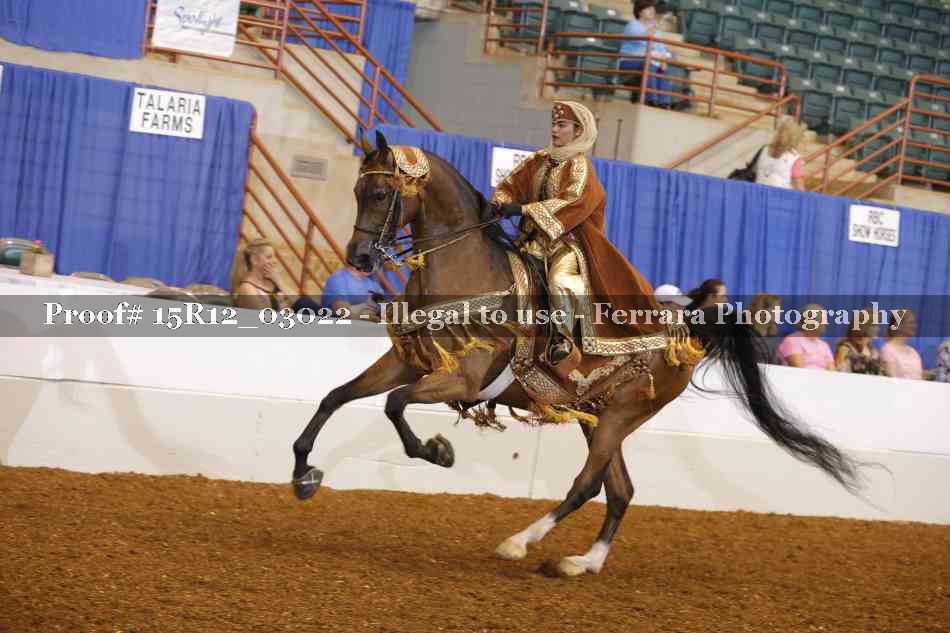 Proof Number 15R12_03022