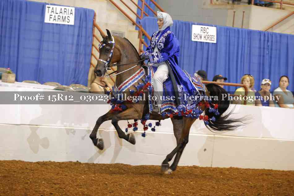 Proof Number 15R12_03023