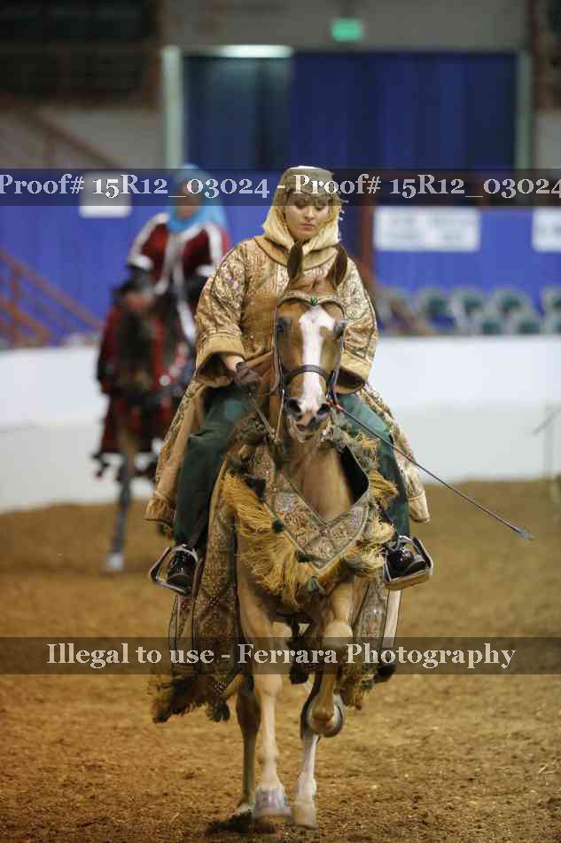 Proof Number 15R12_03024