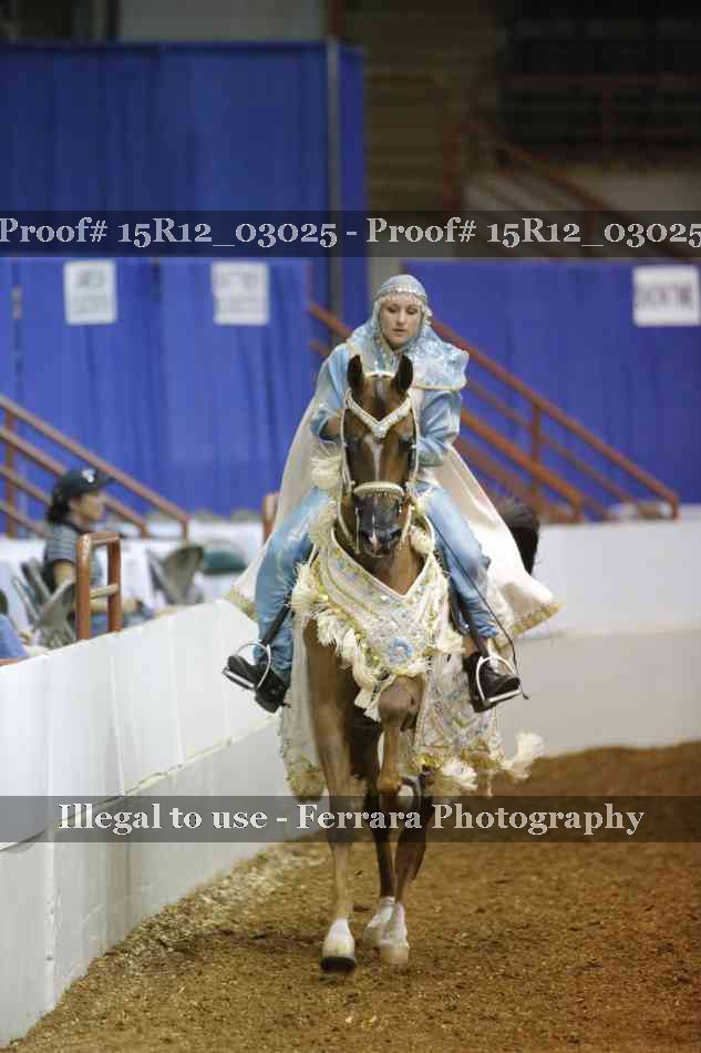 Proof Number 15R12_03025