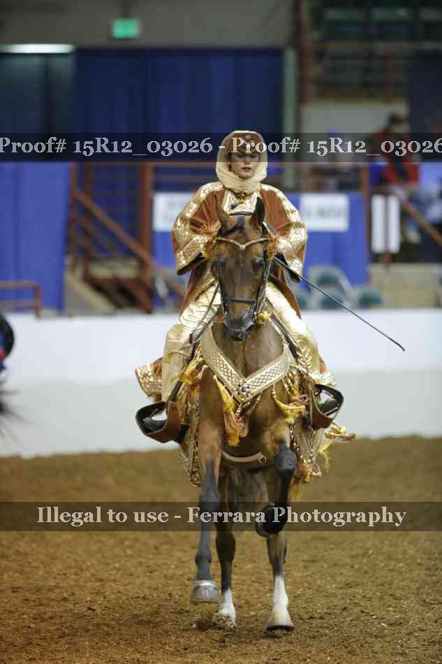 Proof Number 15R12_03026