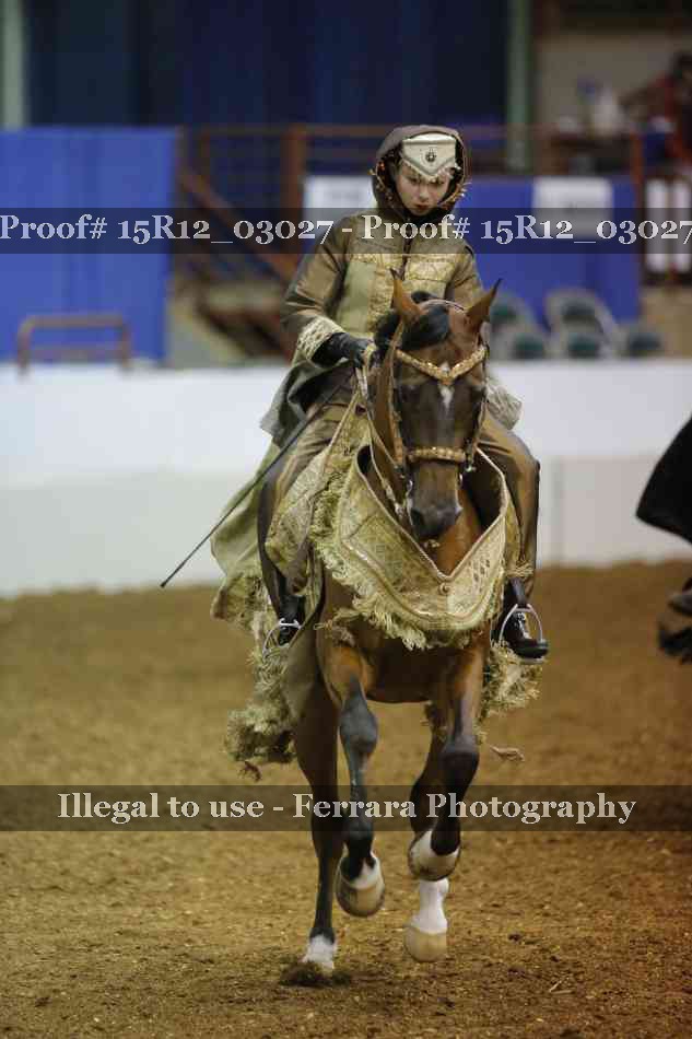 Proof Number 15R12_03027