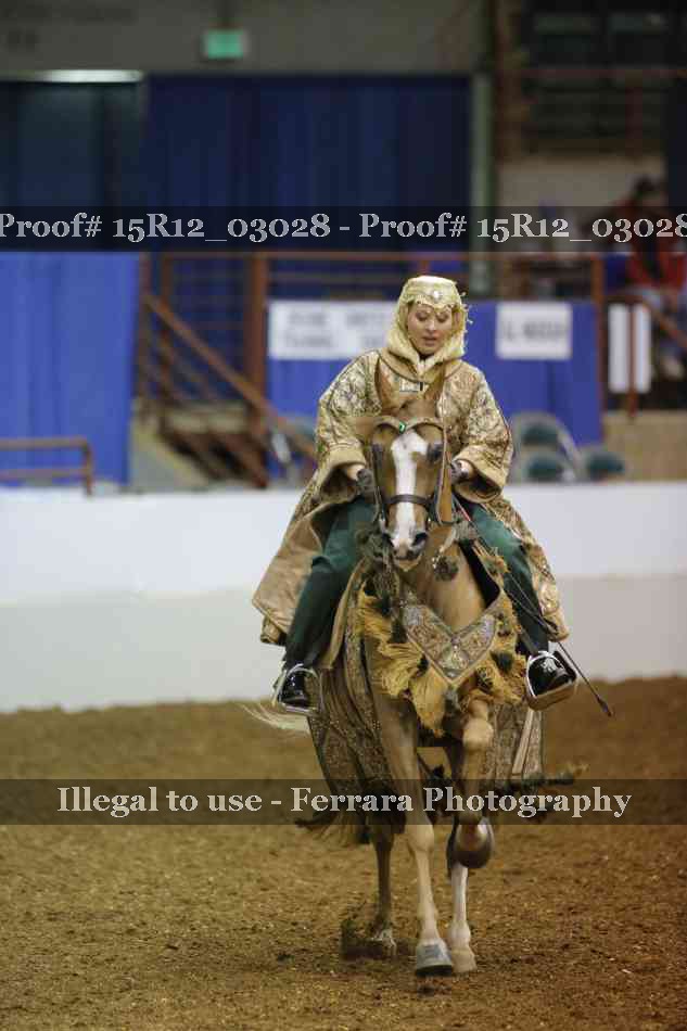 Proof Number 15R12_03028