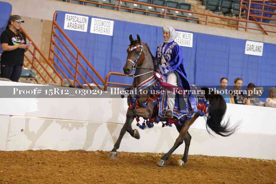 Proof Number 15R12_03029