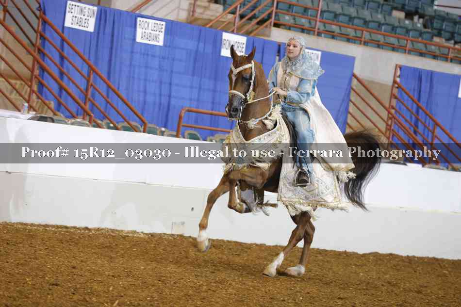 Proof Number 15R12_03030