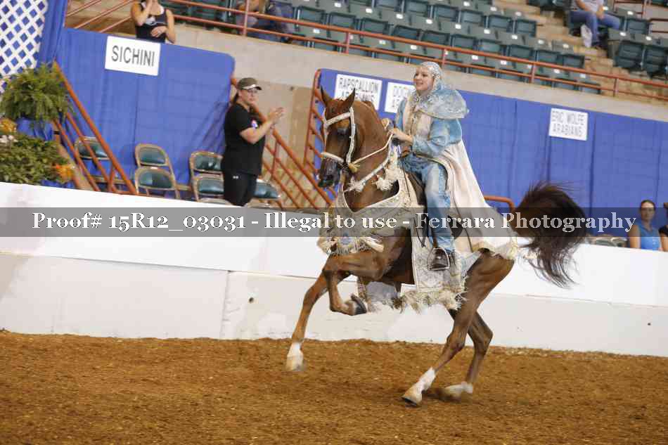 Proof Number 15R12_03031