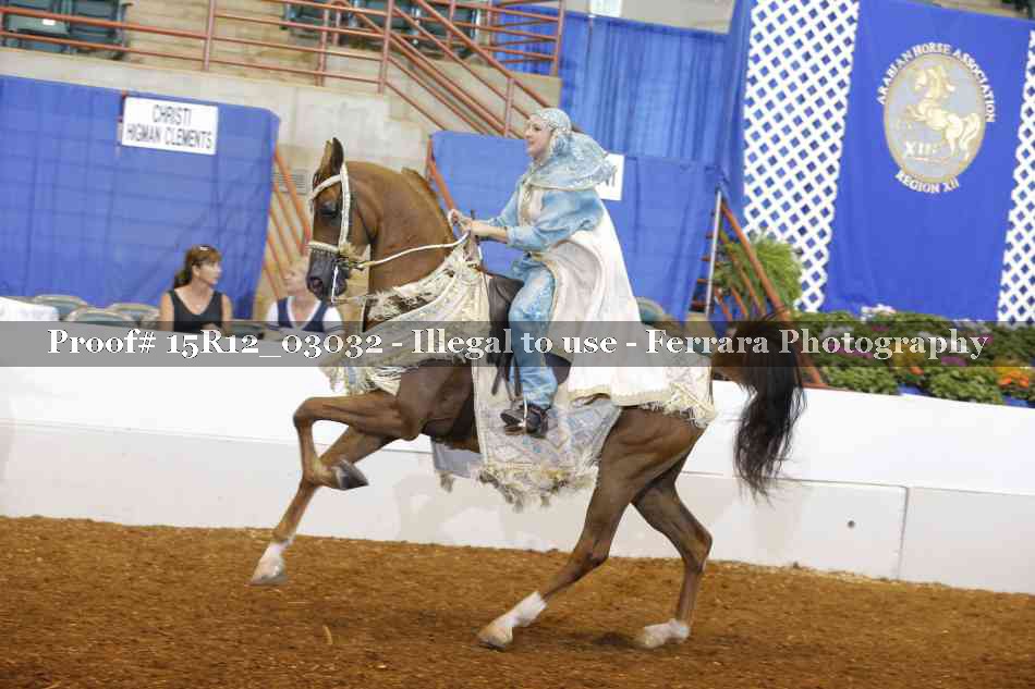 Proof Number 15R12_03032