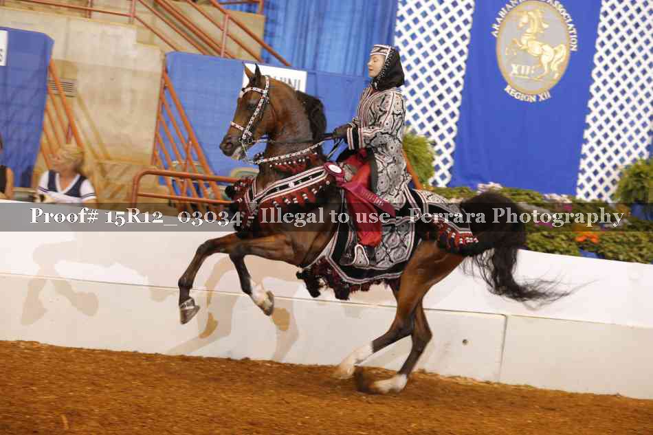 Proof Number 15R12_03034