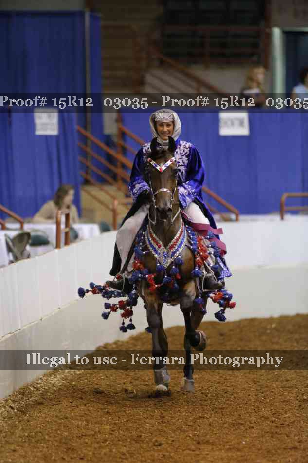 Proof Number 15R12_03035