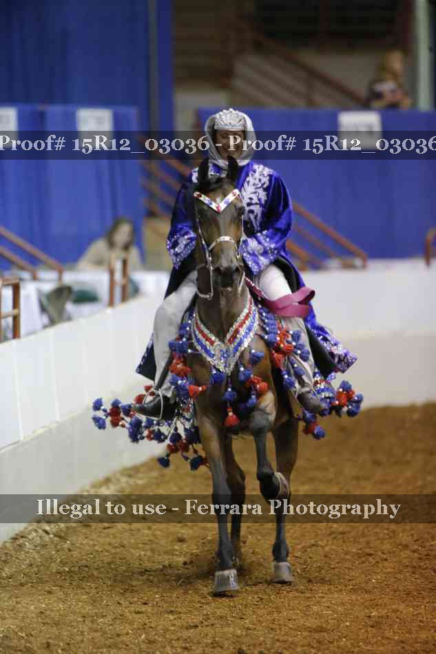 Proof Number 15R12_03036