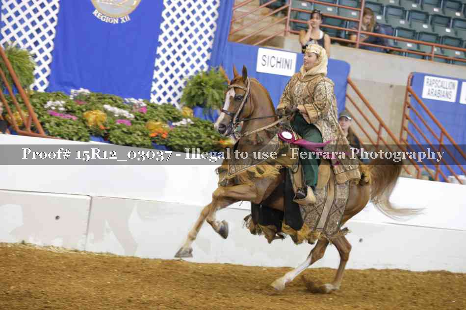 Proof Number 15R12_03037