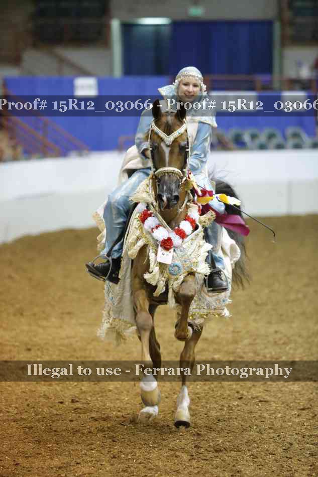 Proof Number 15R12_03066