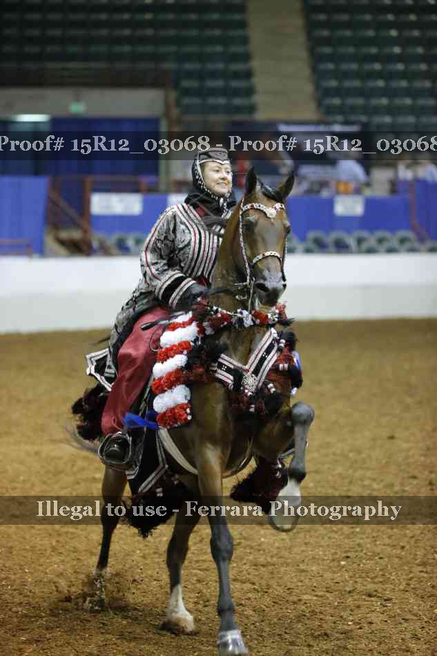 Proof Number 15R12_03068