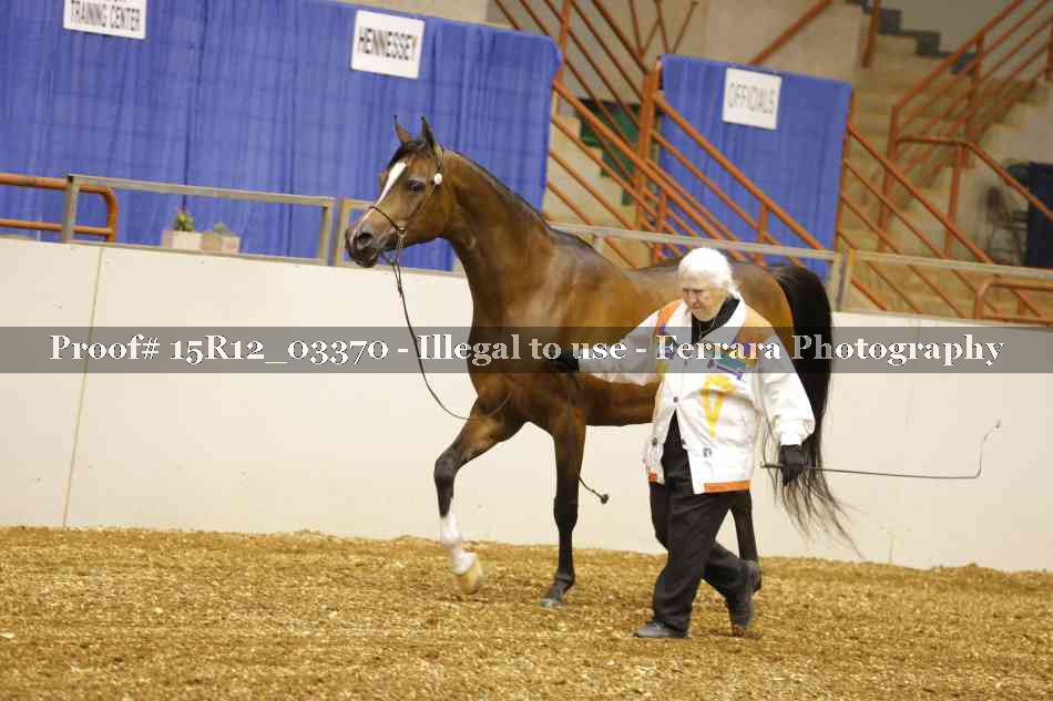 Proof Number 15R12_03370