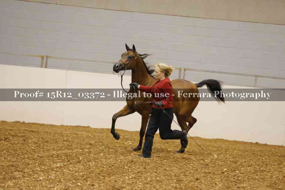 Proof Number 15R12_03372