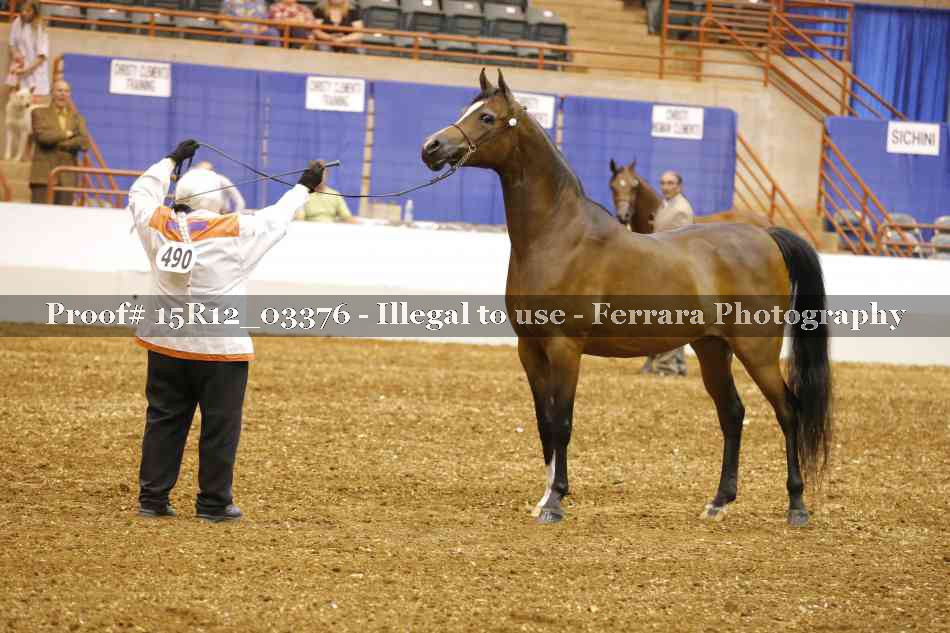 Proof Number 15R12_03376