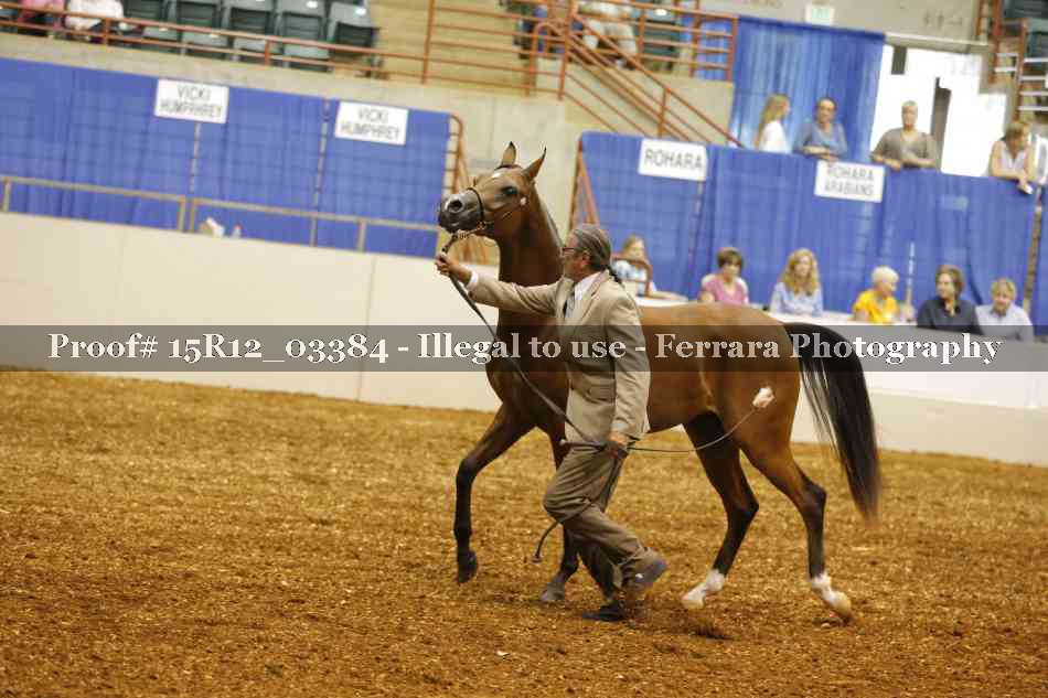 Proof Number 15R12_03384