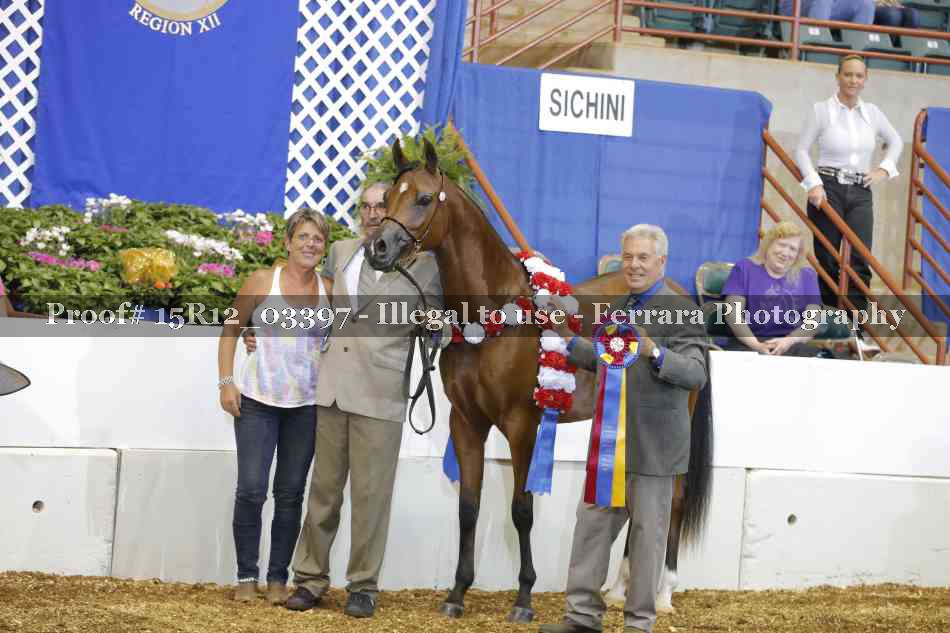 Proof Number 15R12_03397