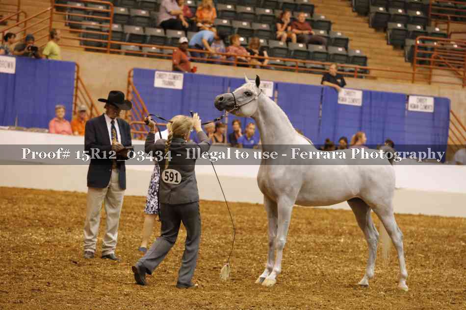Proof Number 15R12_03434