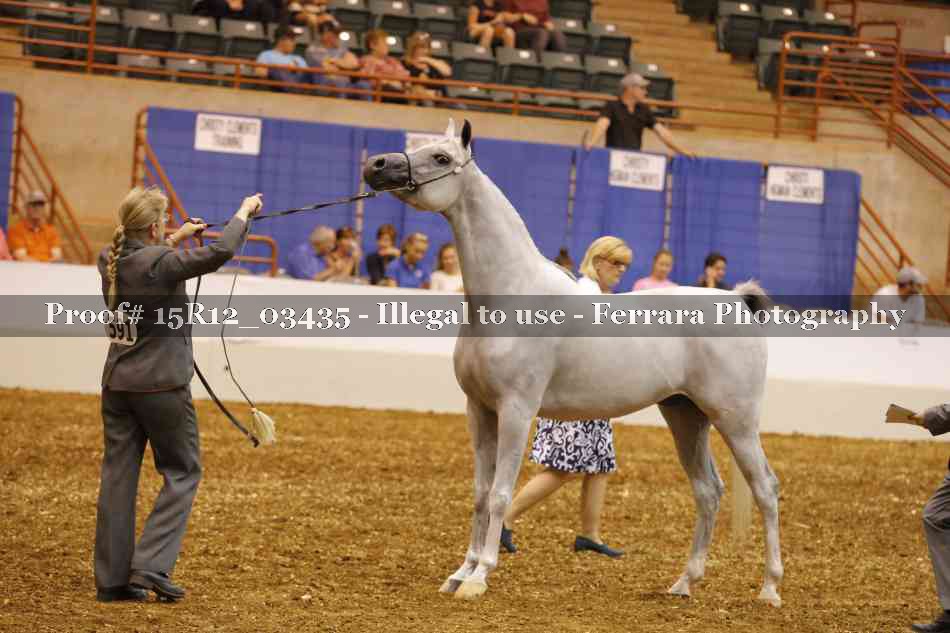 Proof Number 15R12_03435
