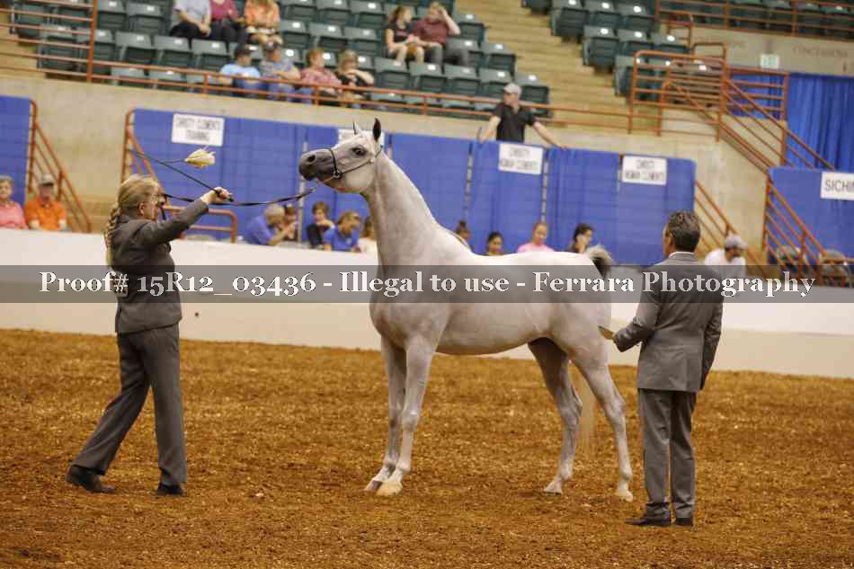 Proof Number 15R12_03436
