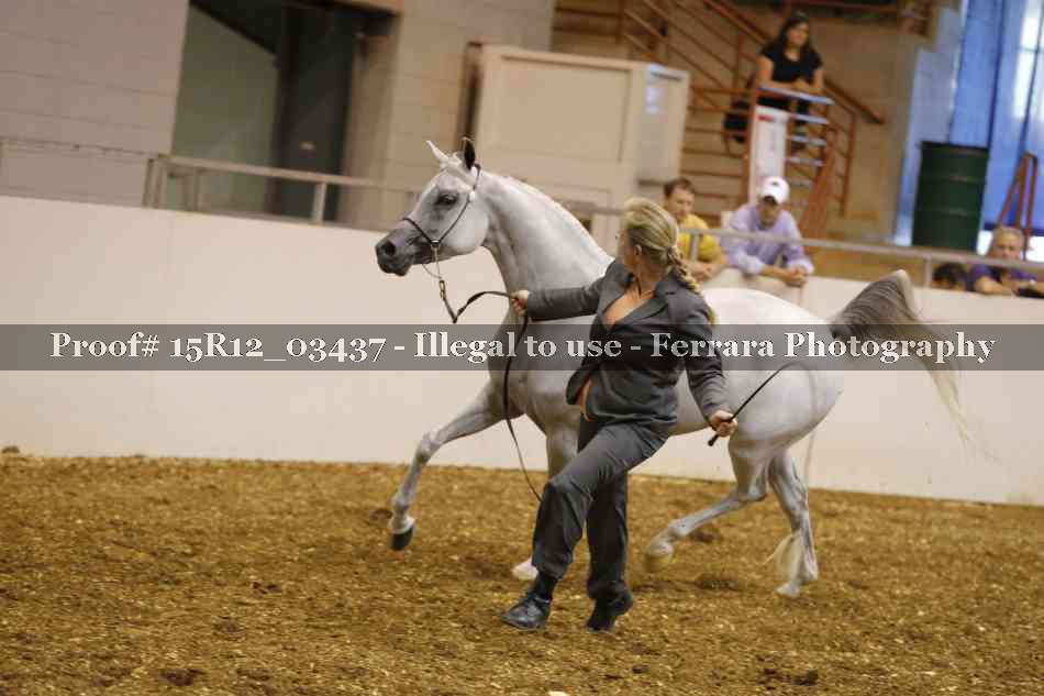 Proof Number 15R12_03437