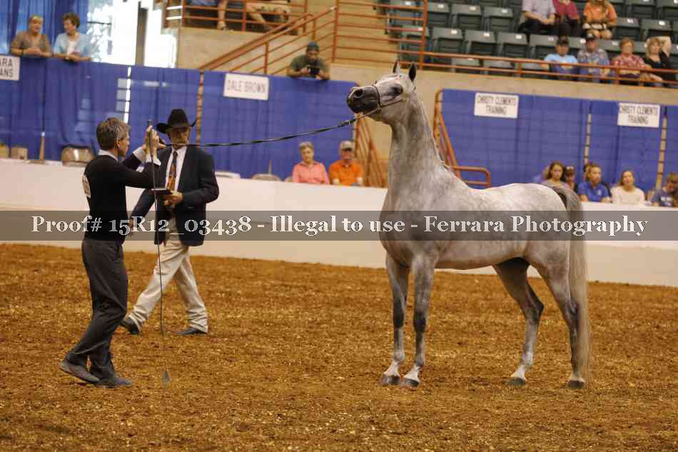 Proof Number 15R12_03438