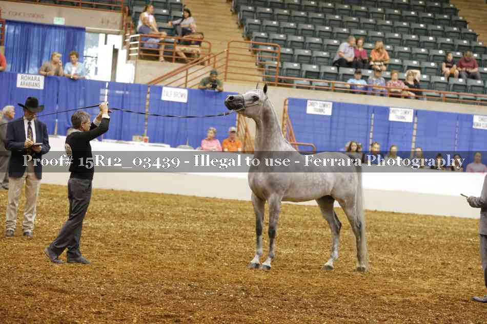 Proof Number 15R12_03439