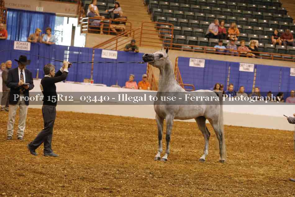 Proof Number 15R12_03440