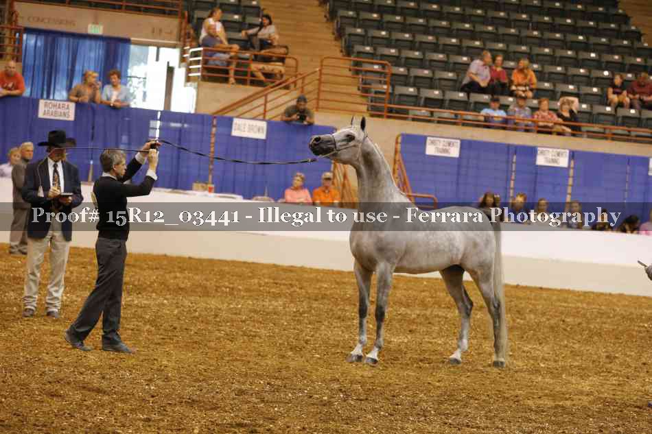 Proof Number 15R12_03441