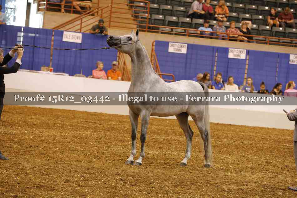 Proof Number 15R12_03442