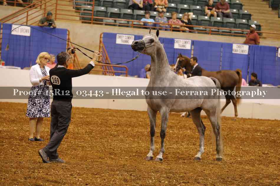 Proof Number 15R12_03443